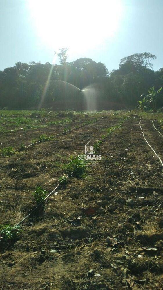 Terreno, 100 hectares - Foto 15