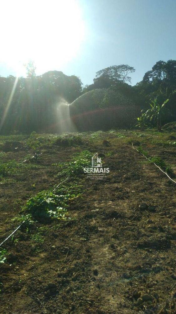 Terreno, 100 hectares - Foto 11