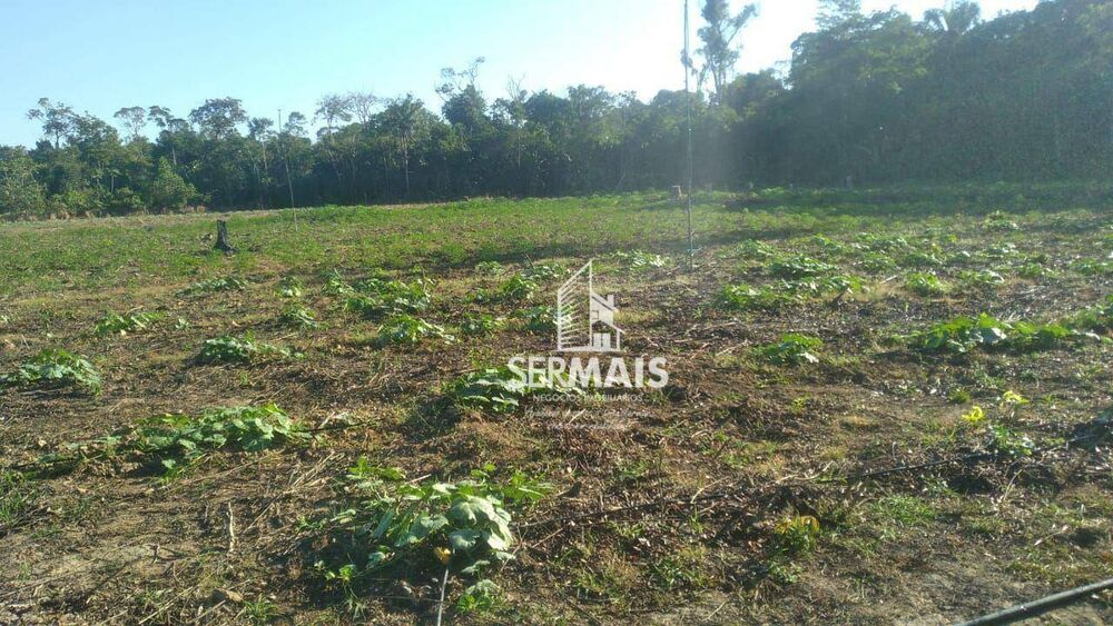 Terreno, 100 hectares - Foto 16