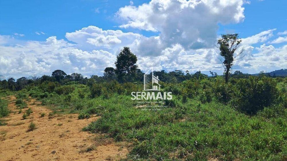 Fazenda, 53 hectares - Foto 6
