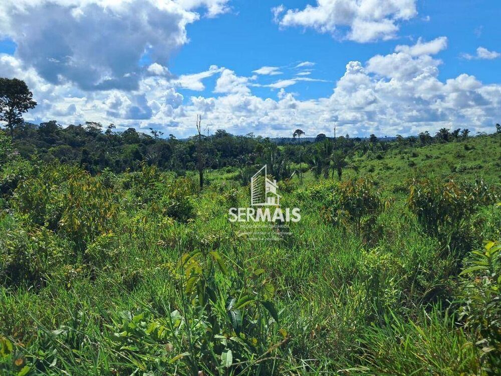 Fazenda, 53 hectares - Foto 4