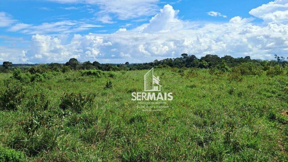 Fazenda, 53 hectares - Foto 8