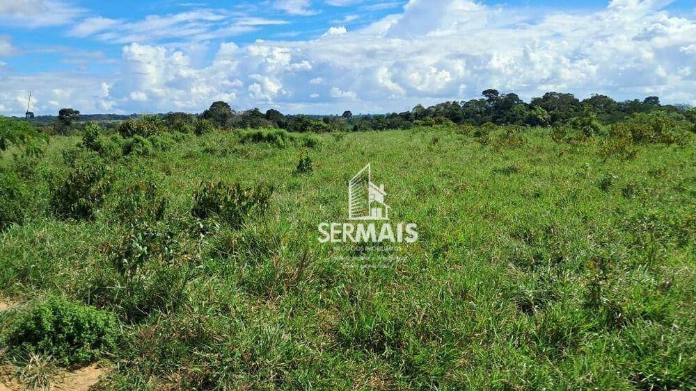 Fazenda, 53 hectares - Foto 7