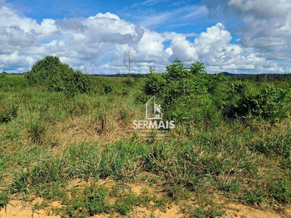 Fazenda, 53 hectares - Foto 1