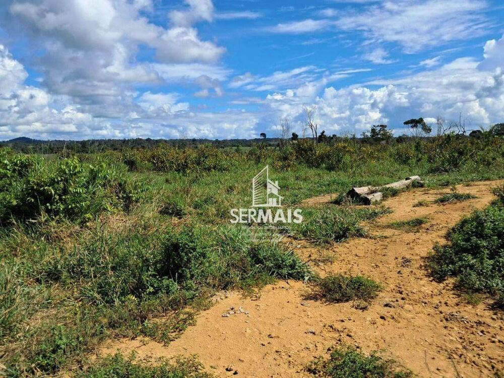 Fazenda, 53 hectares - Foto 3