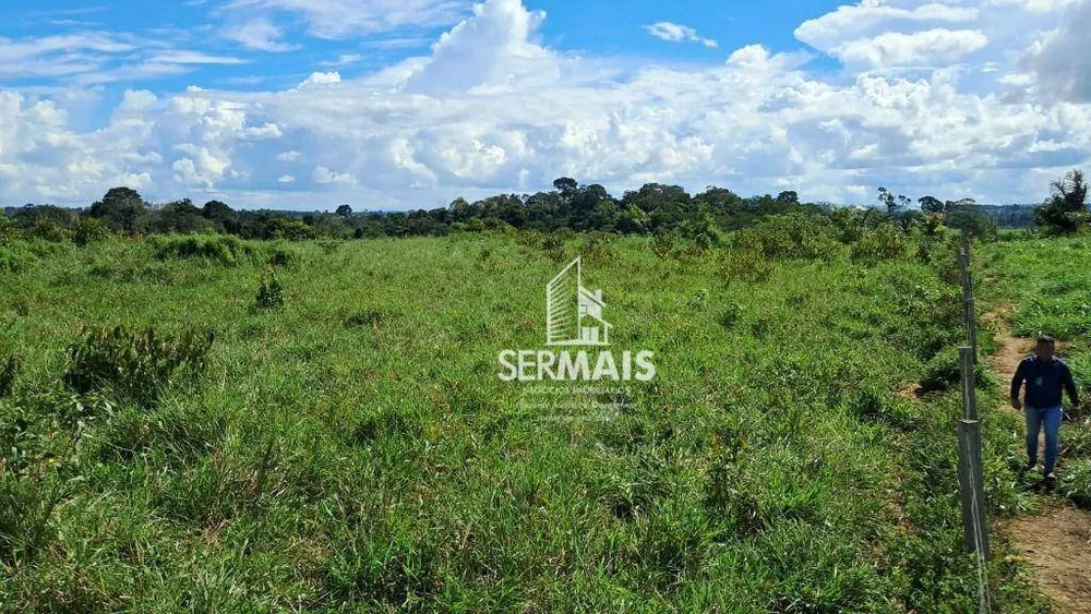 Fazenda, 53 hectares - Foto 12