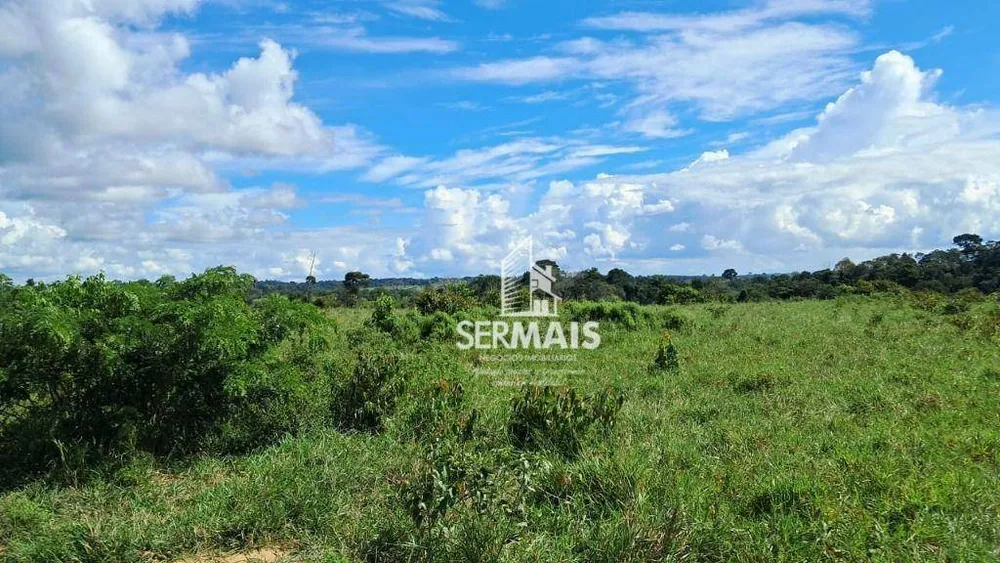 Fazenda, 53 hectares - Foto 10