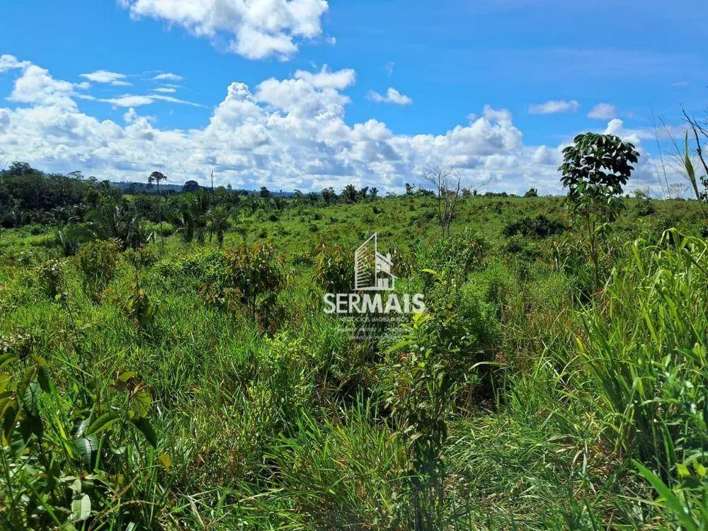 Fazenda, 53 hectares - Foto 11