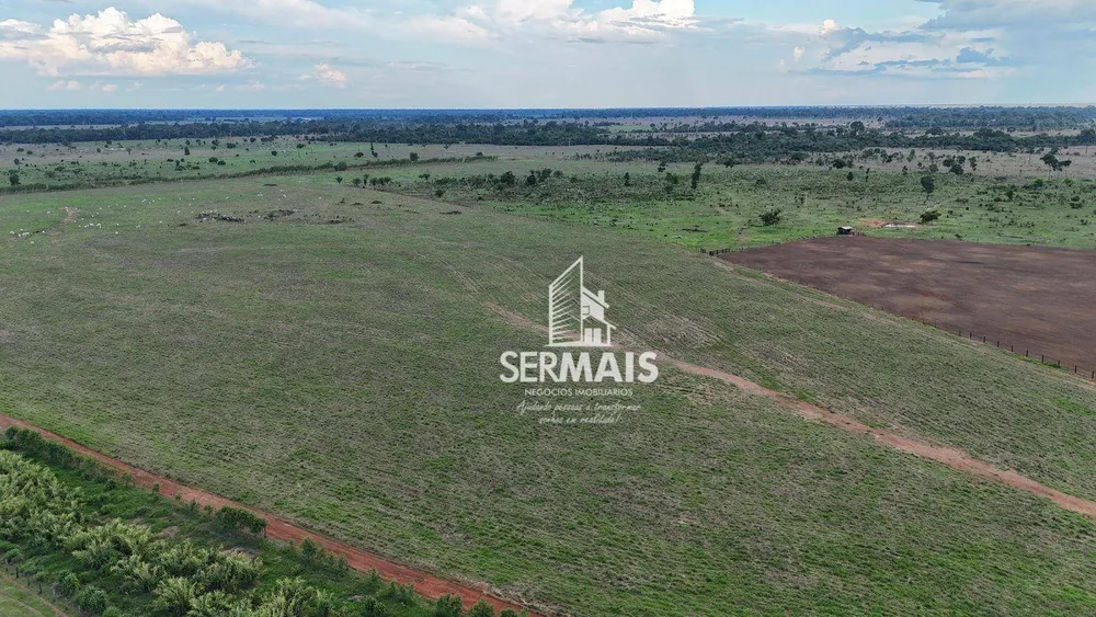 Fazenda, 254 hectares - Foto 6