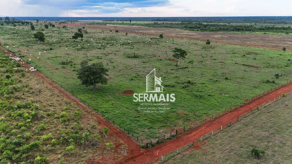 Fazenda, 254 hectares - Foto 9