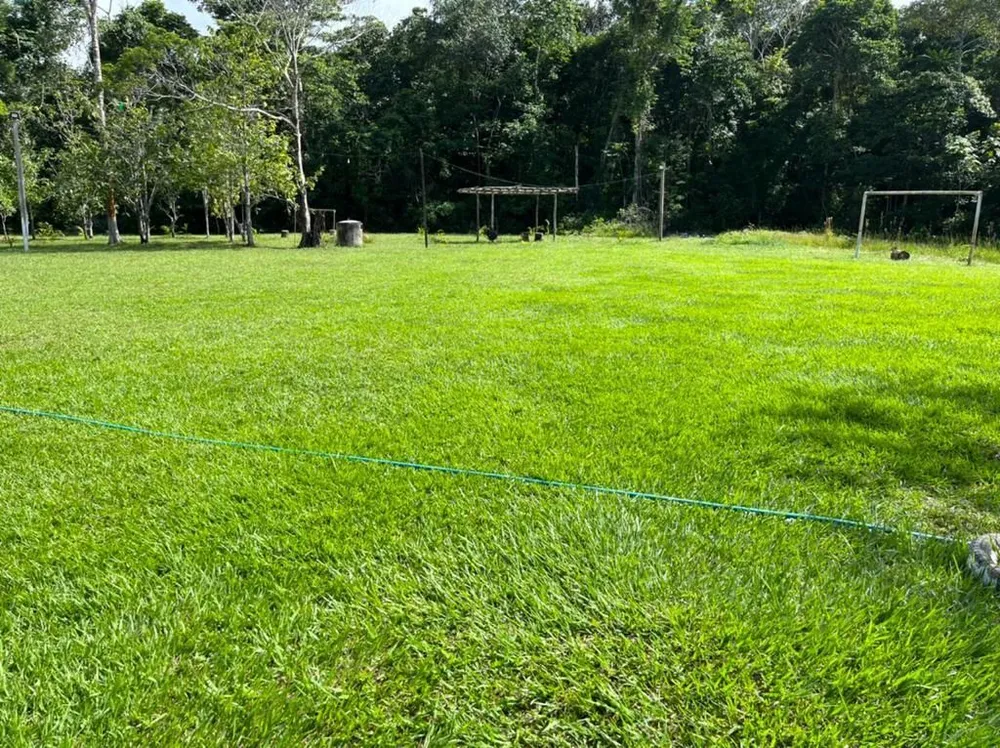 Chácara, 53 hectares - Foto 4