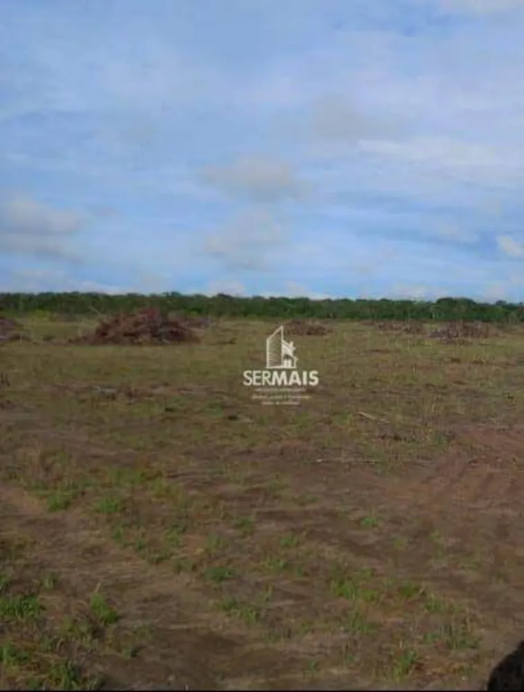 Fazenda, 1000 hectares - Foto 12