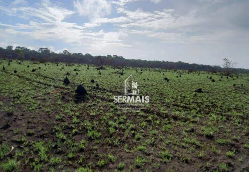 Fazenda, 1000 hectares - Foto 6