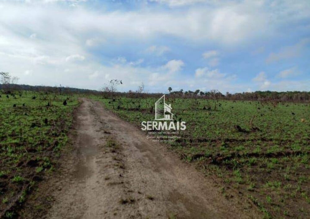 Fazenda, 1000 hectares - Foto 3