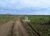Fazenda, 1000 hectares - Foto 3