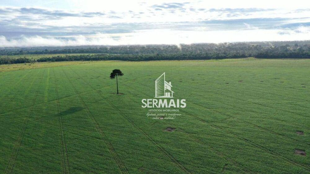 Fazenda, 2300 hectares - Foto 3