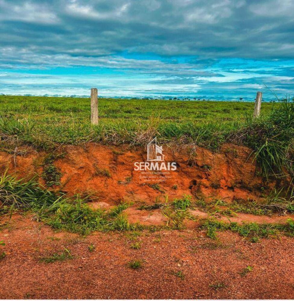 Fazenda, 2300 hectares - Foto 6