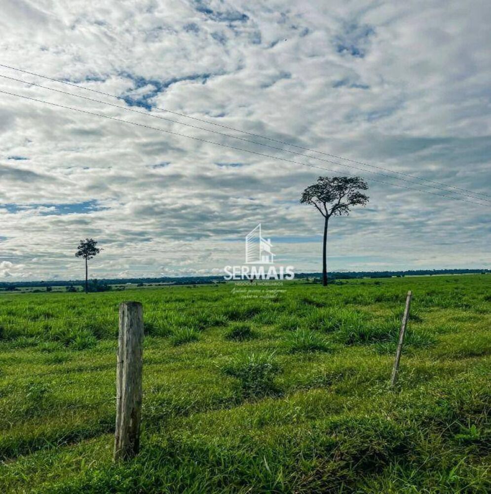 Fazenda, 2300 hectares - Foto 5