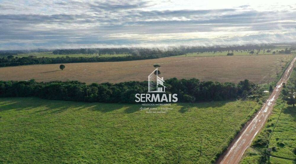 Fazenda, 2300 hectares - Foto 4