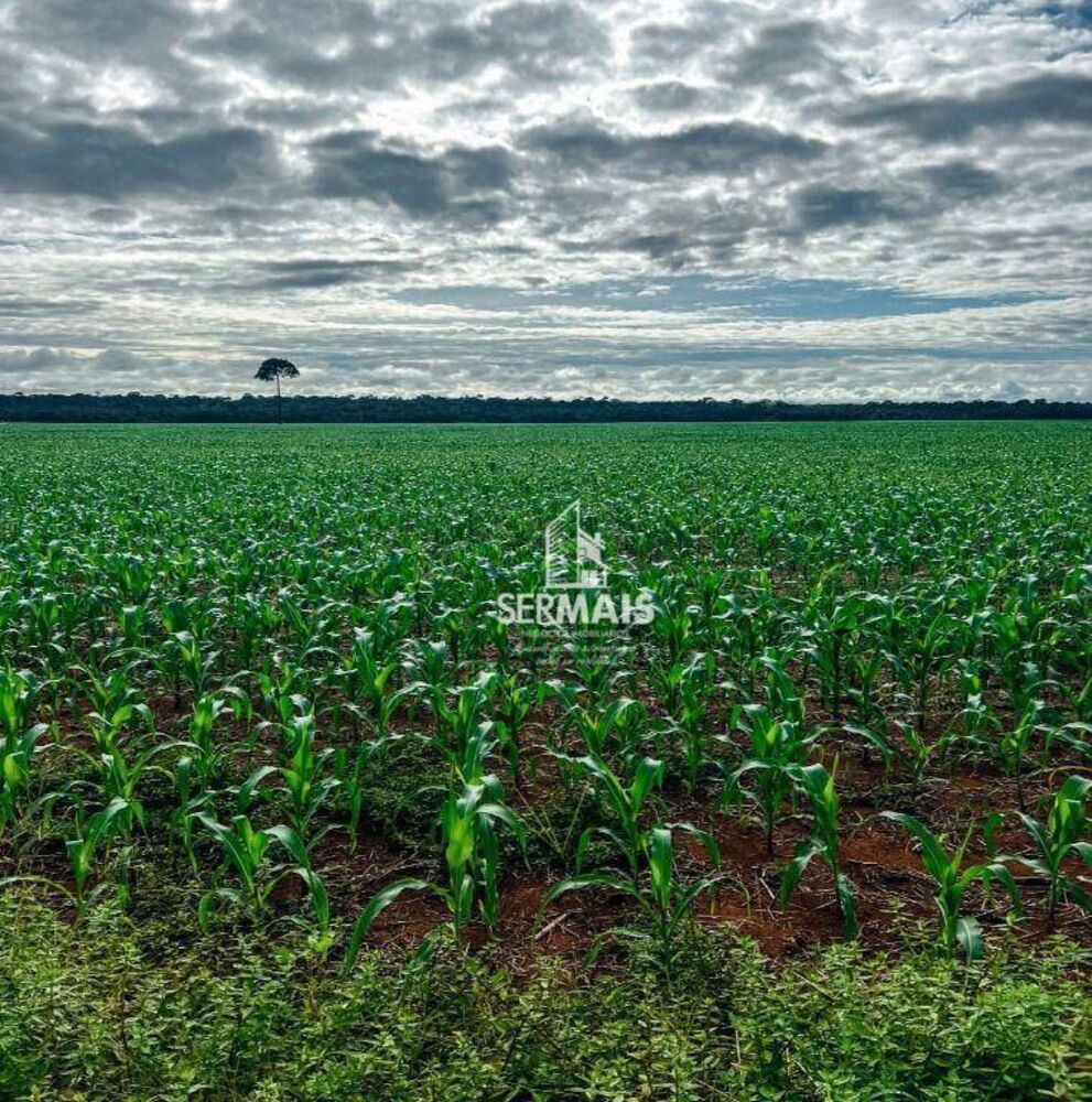 Fazenda, 2300 hectares - Foto 1