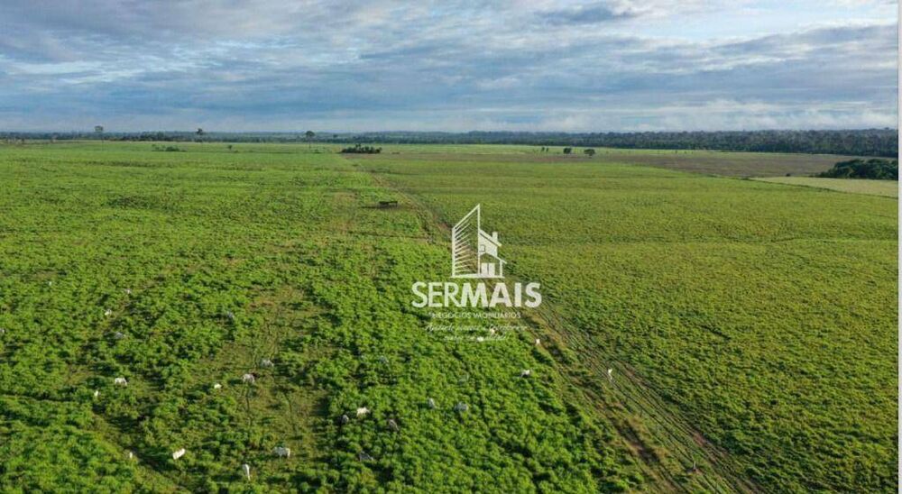 Fazenda, 2300 hectares - Foto 2