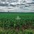 Fazenda, 2300 hectares - Foto 1