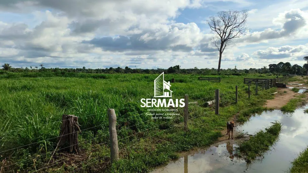 Fazenda, 100 hectares - Foto 4