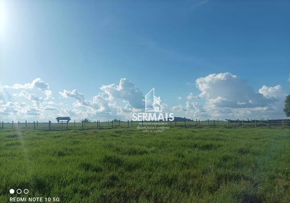 Fazenda, 968 hectares - Foto 12