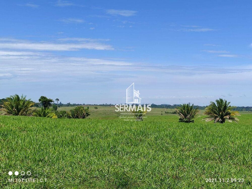 Fazenda, 968 hectares - Foto 3