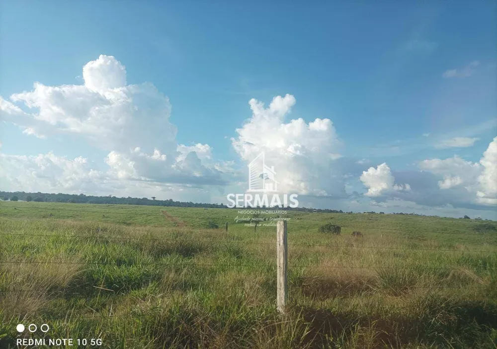 Fazenda, 968 hectares - Foto 8