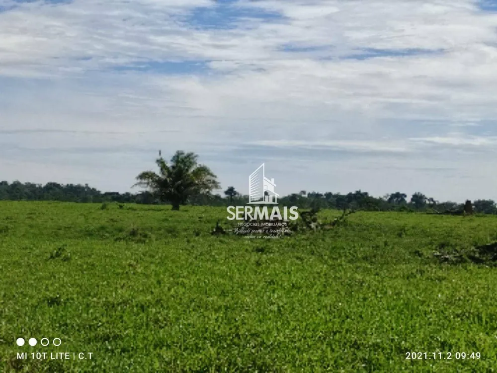 Fazenda, 968 hectares - Foto 18