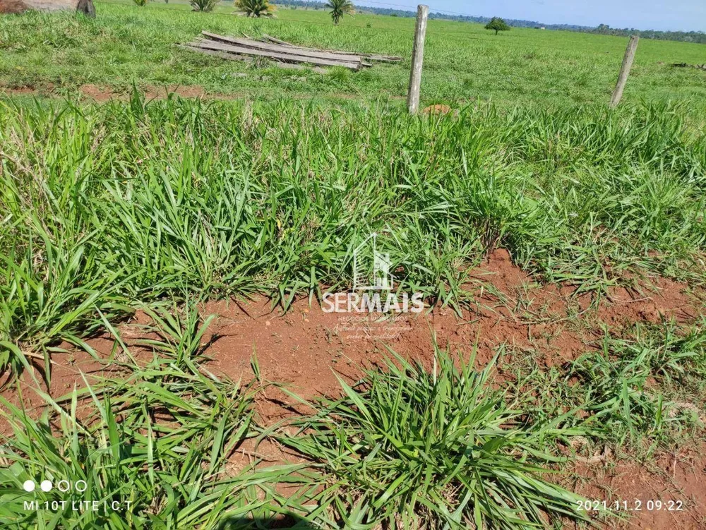 Fazenda, 968 hectares - Foto 17