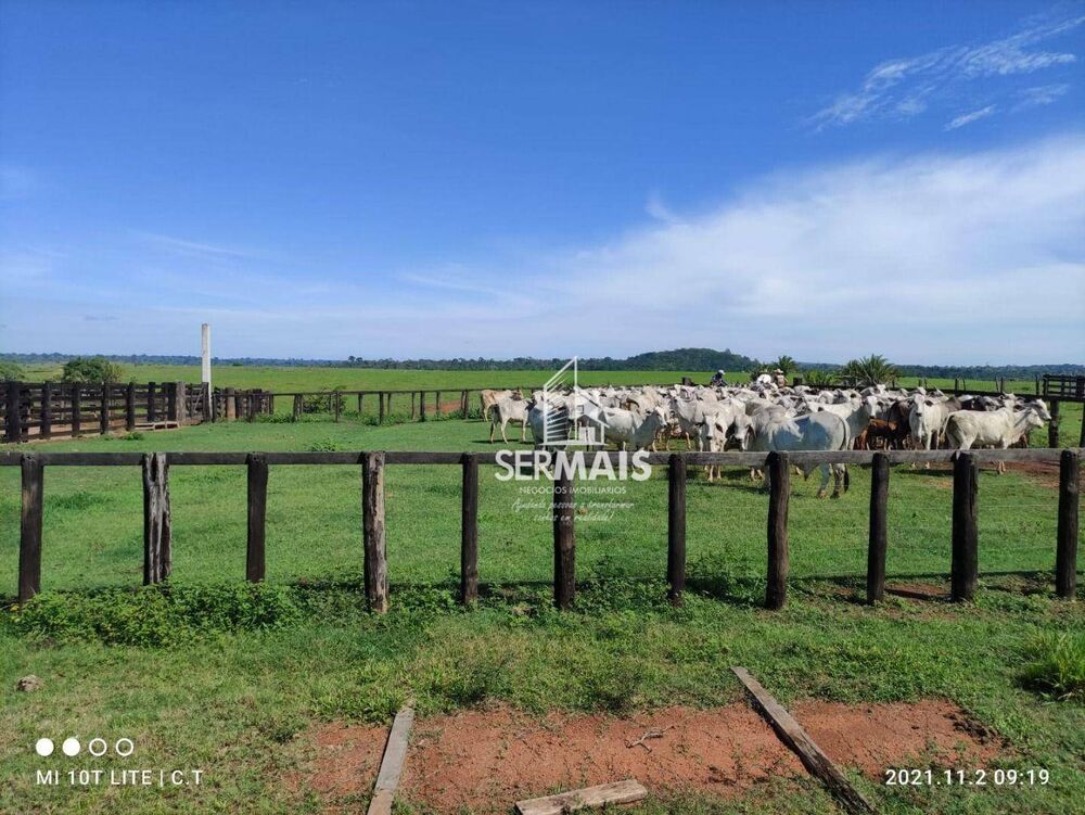 Fazenda, 968 hectares - Foto 4