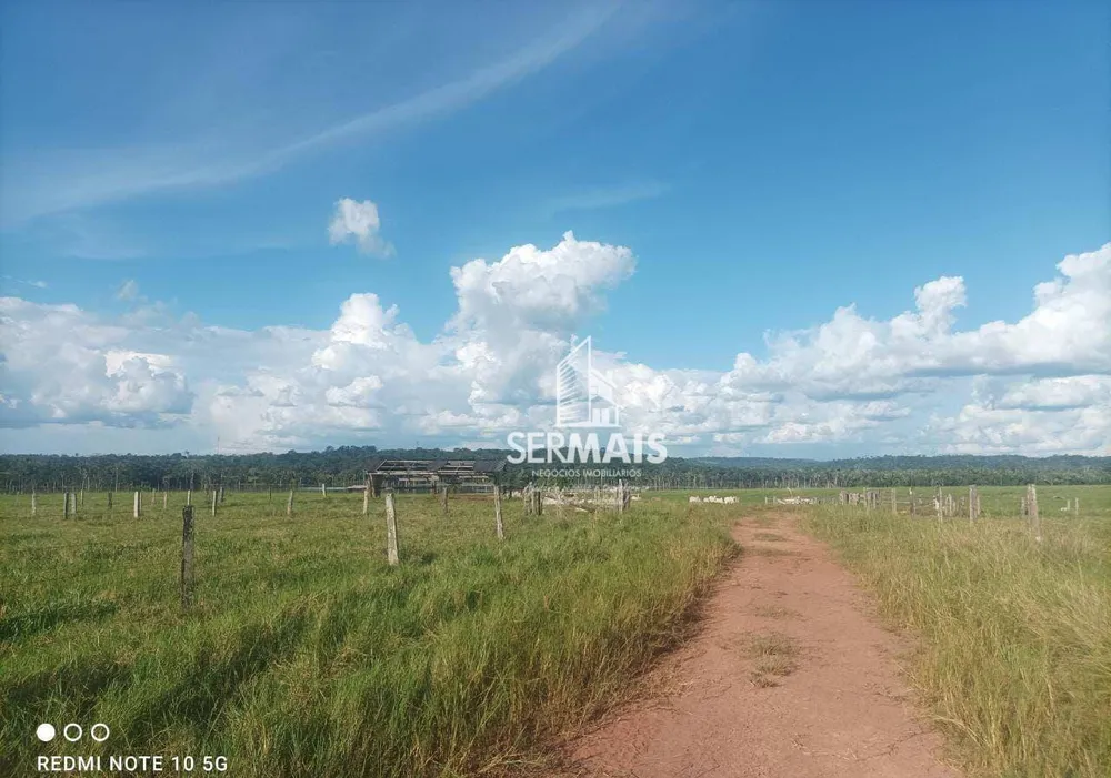 Fazenda, 968 hectares - Foto 6