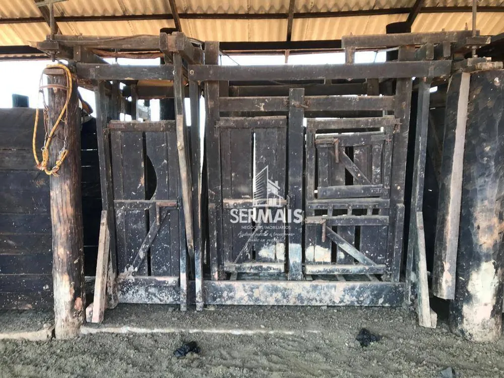 Fazenda, 600 hectares - Foto 11