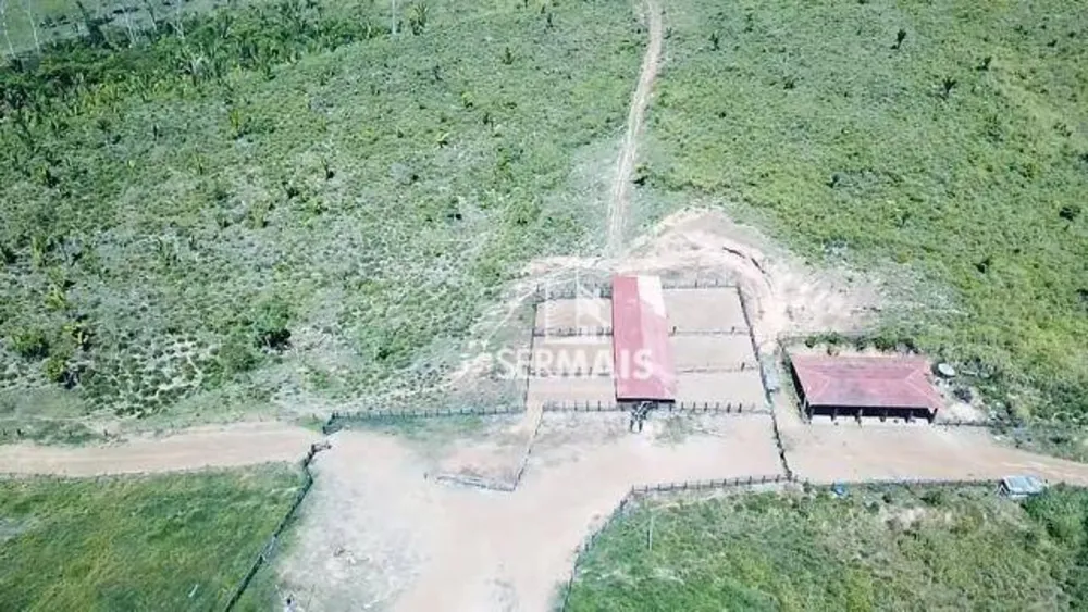 Fazenda, 600 hectares - Foto 10