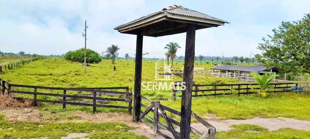 Fazenda, 203 hectares - Foto 1
