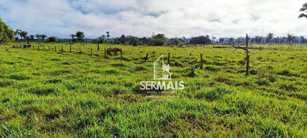 Fazenda, 203 hectares - Foto 3