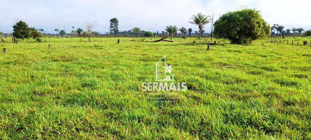 Fazenda, 203 hectares - Foto 4