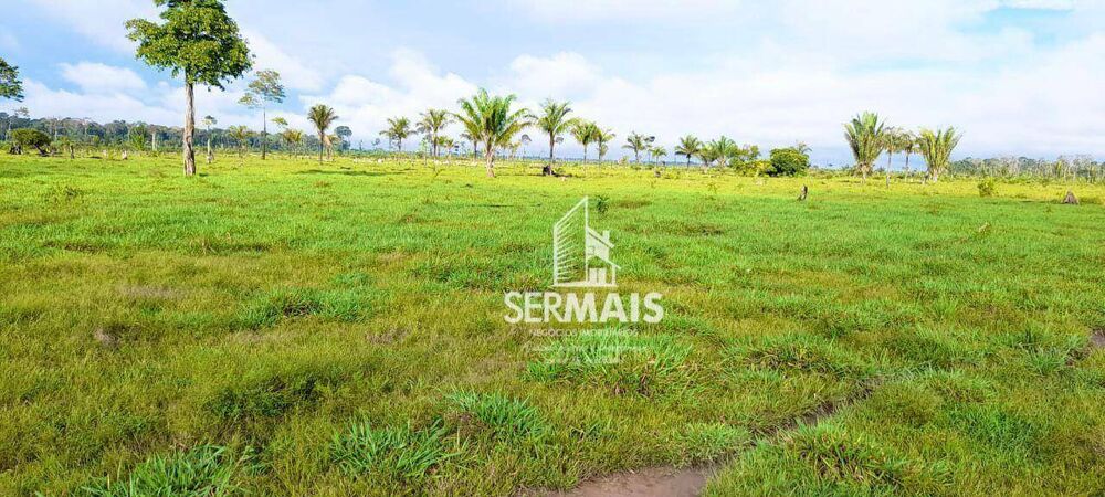 Fazenda, 203 hectares - Foto 5