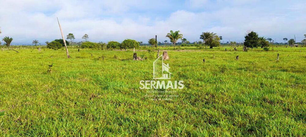 Fazenda, 203 hectares - Foto 2