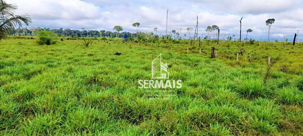 Fazenda, 203 hectares - Foto 8