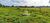 Fazenda, 203 hectares - Foto 3