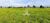Fazenda, 203 hectares - Foto 2