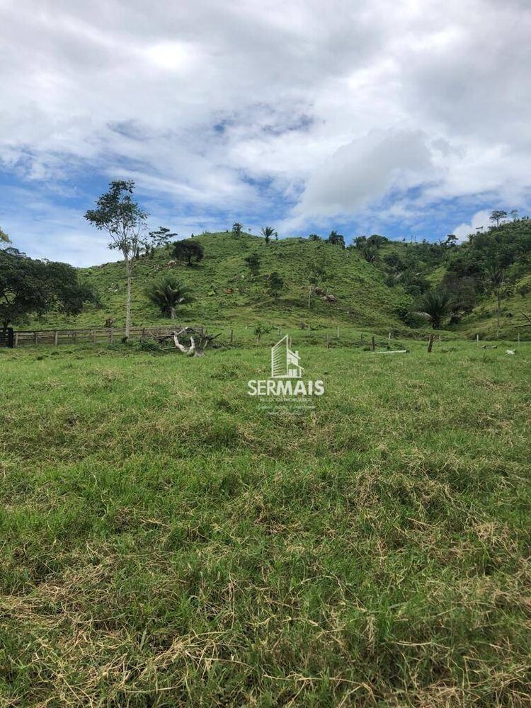 Fazenda, 138 hectares - Foto 2