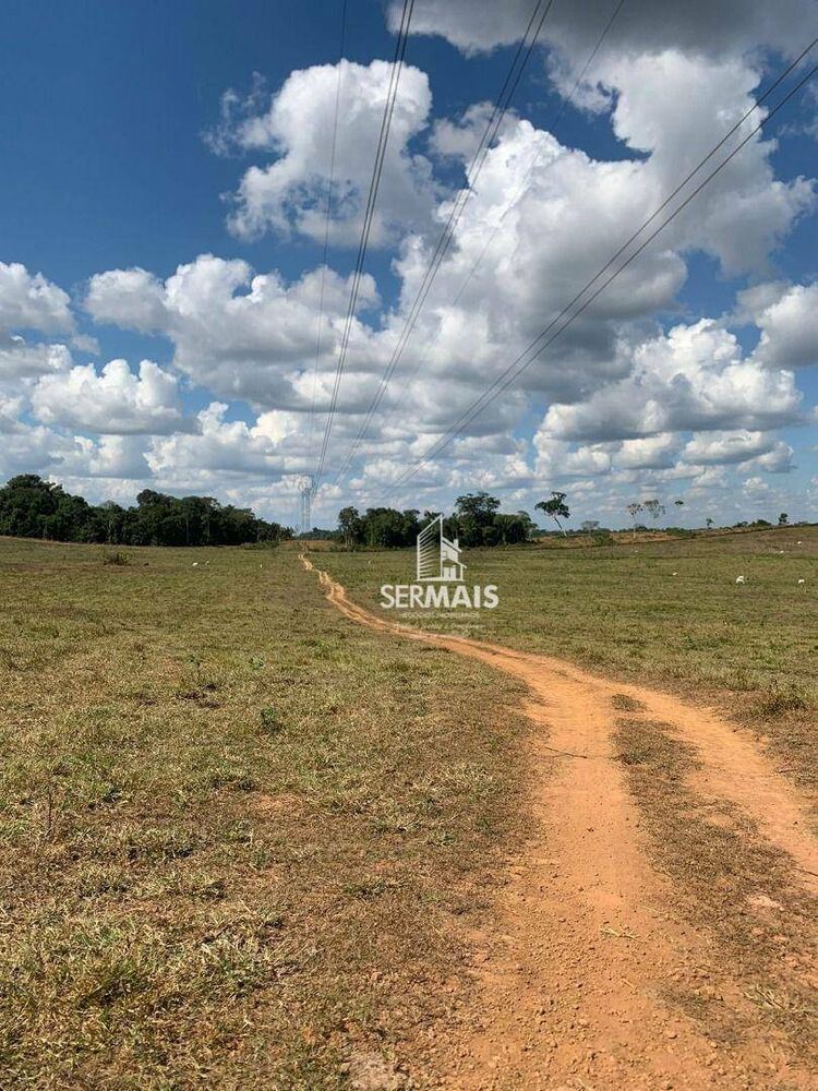 Fazenda, 208 hectares - Foto 6