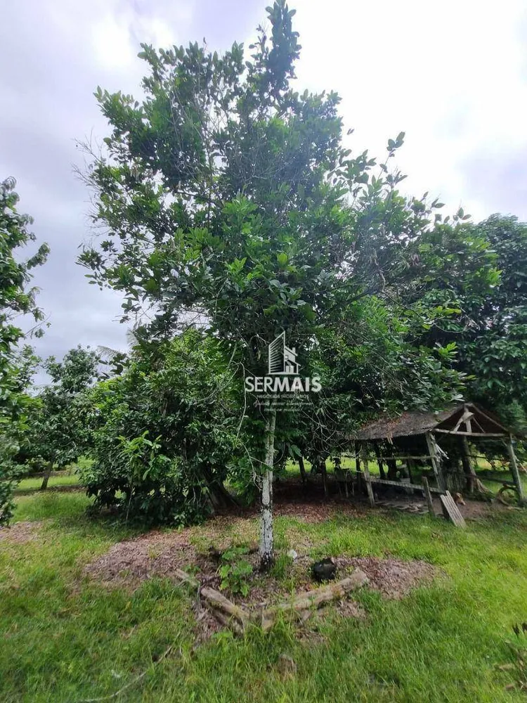 Chácara, 6000 m² - Foto 1