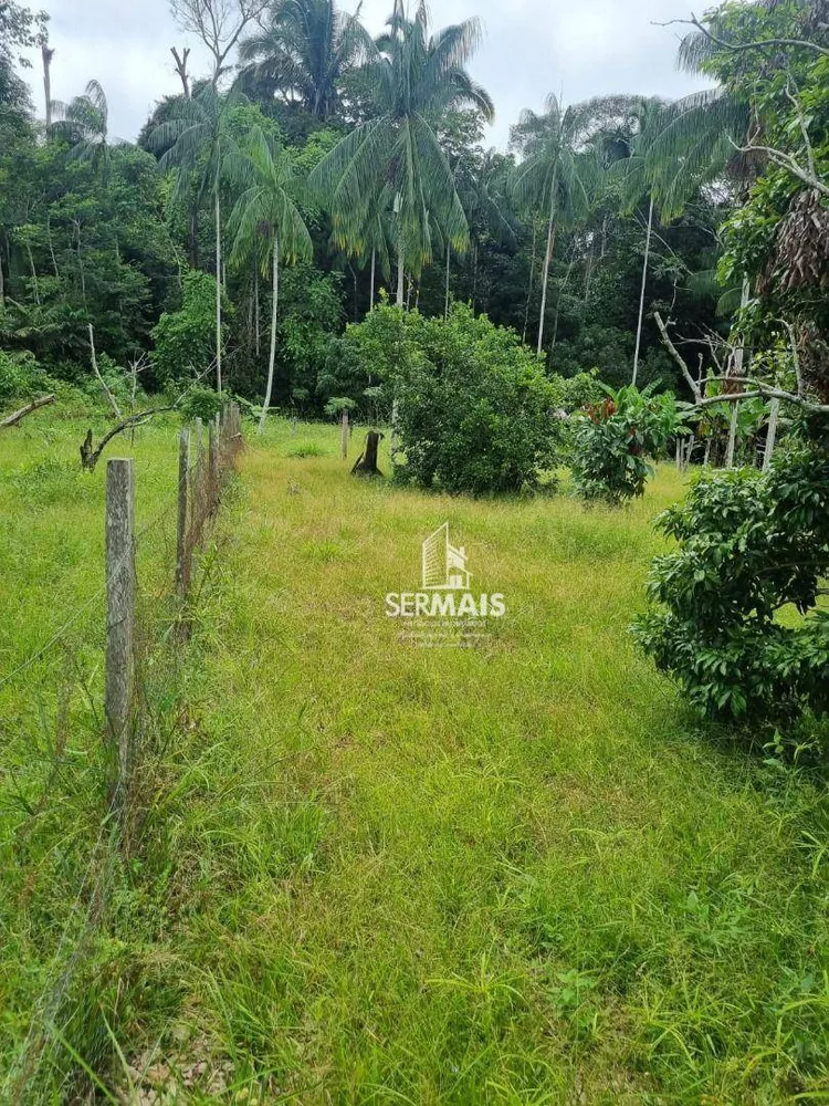Chácara, 6000 m² - Foto 6