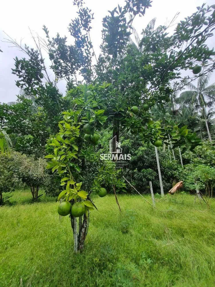 Chácara, 6000 m² - Foto 5
