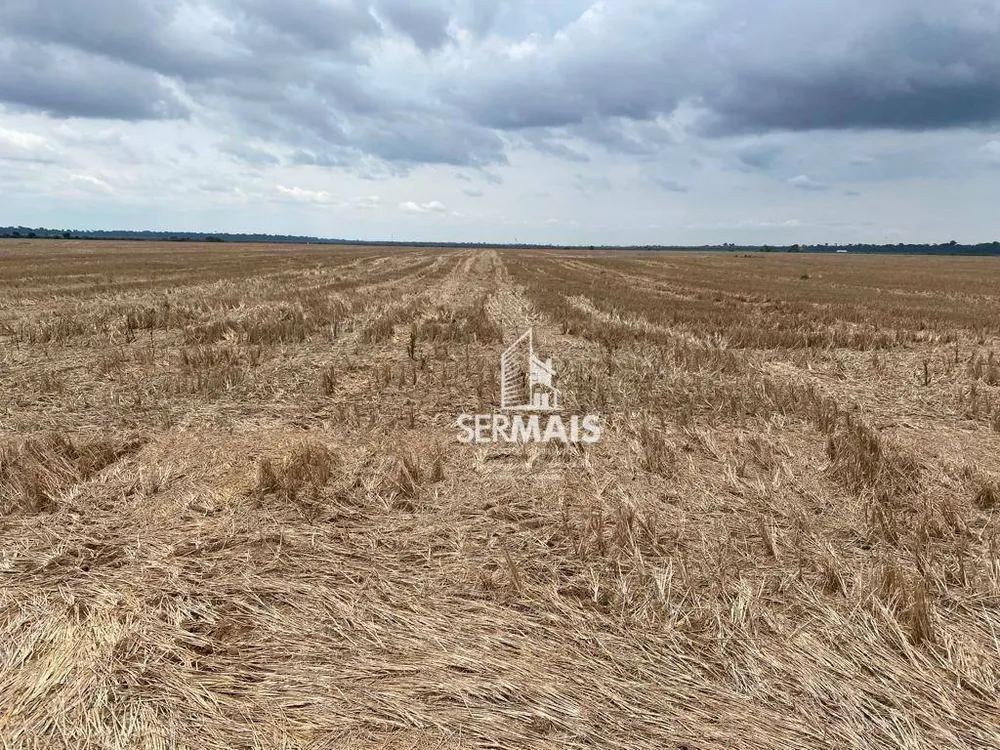 Fazenda, 290 hectares - Foto 6